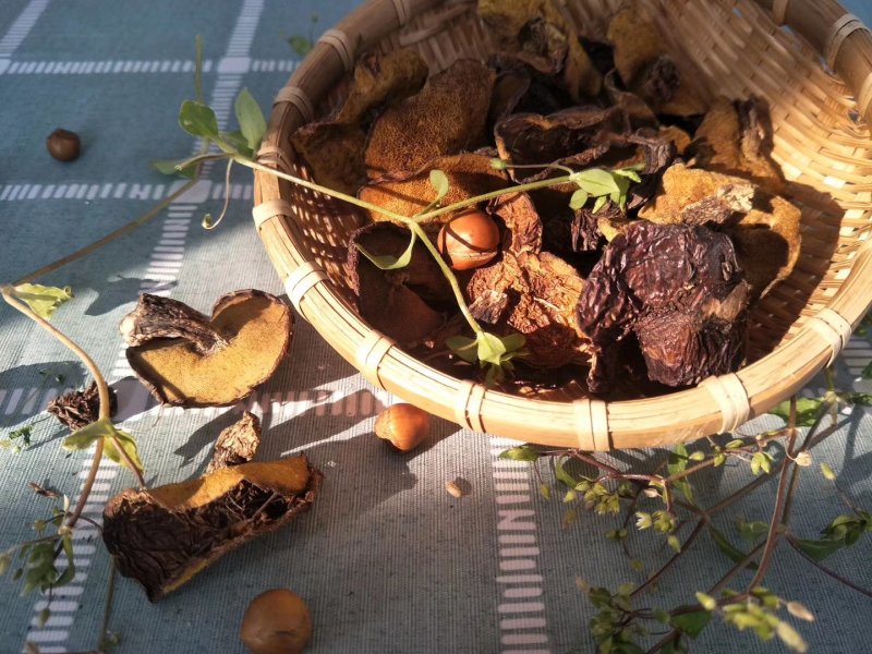 木兰围场纯天然野生菌松蘑