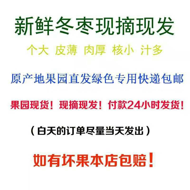 沾化冬枣一件代发对接各大电商社区团购货源充足稳定