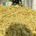 豆制品,豆鱼,豆皮,豆条燕麦条豆制品批发干货批发厂家直销