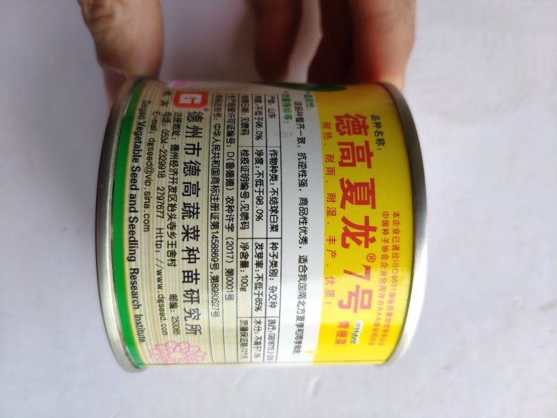 夏季四季播油亮束腰上海青青梗菜种籽