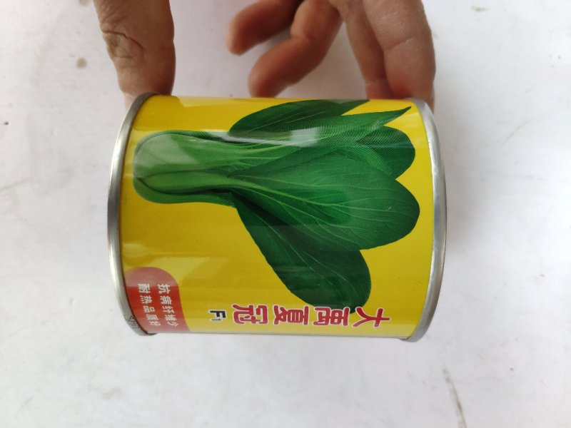 夏季四季播油亮束腰上海青青梗菜种籽