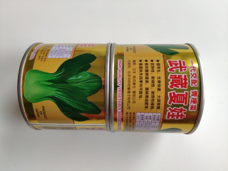 夏季四季播油亮束腰上海青青梗菜种籽