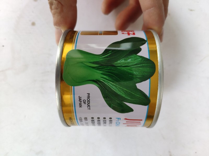夏季四季播油亮束腰上海青青梗菜种籽