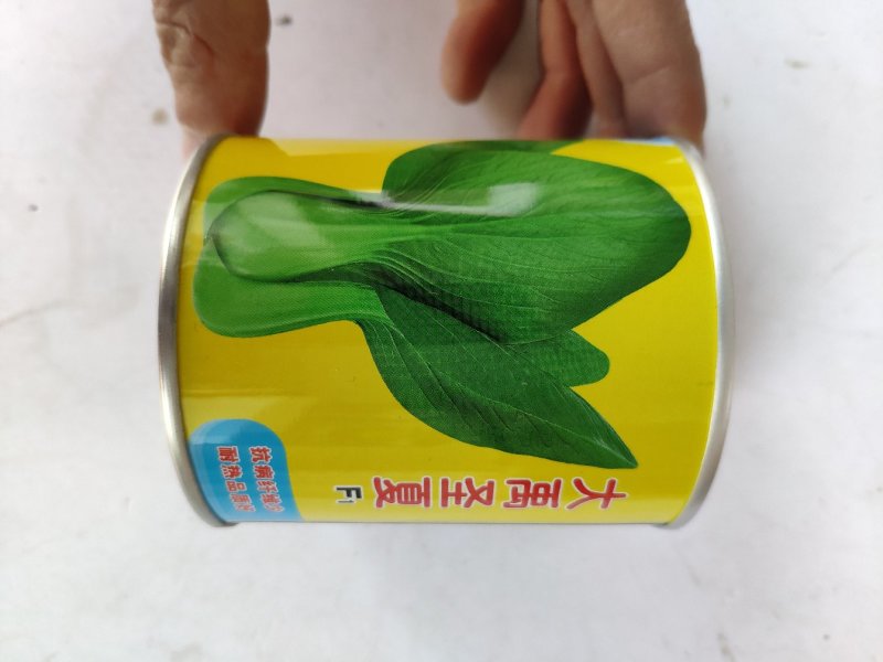 夏季四季播油亮束腰上海青青梗菜种籽