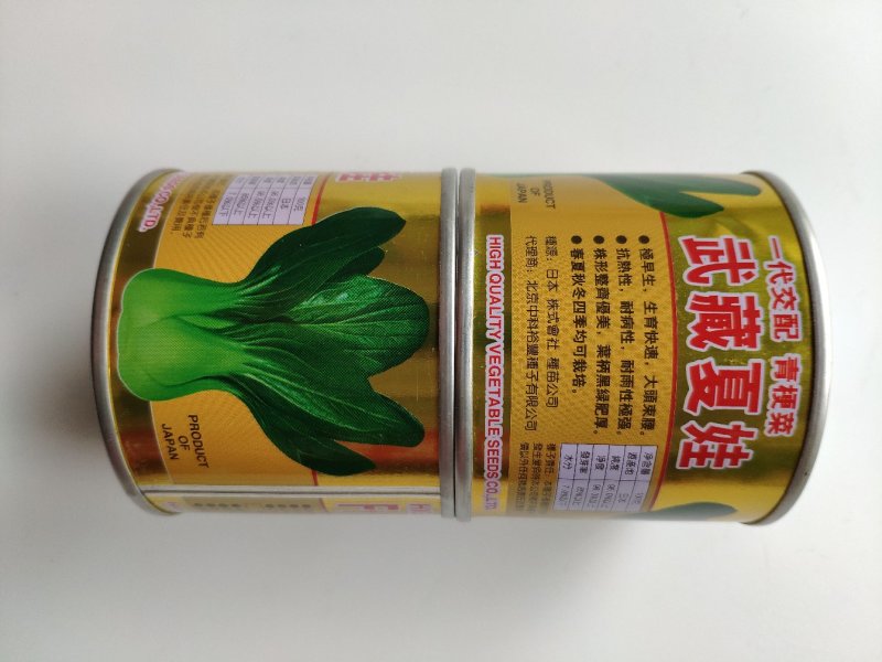 夏季四季播油亮束腰上海青青梗菜种籽