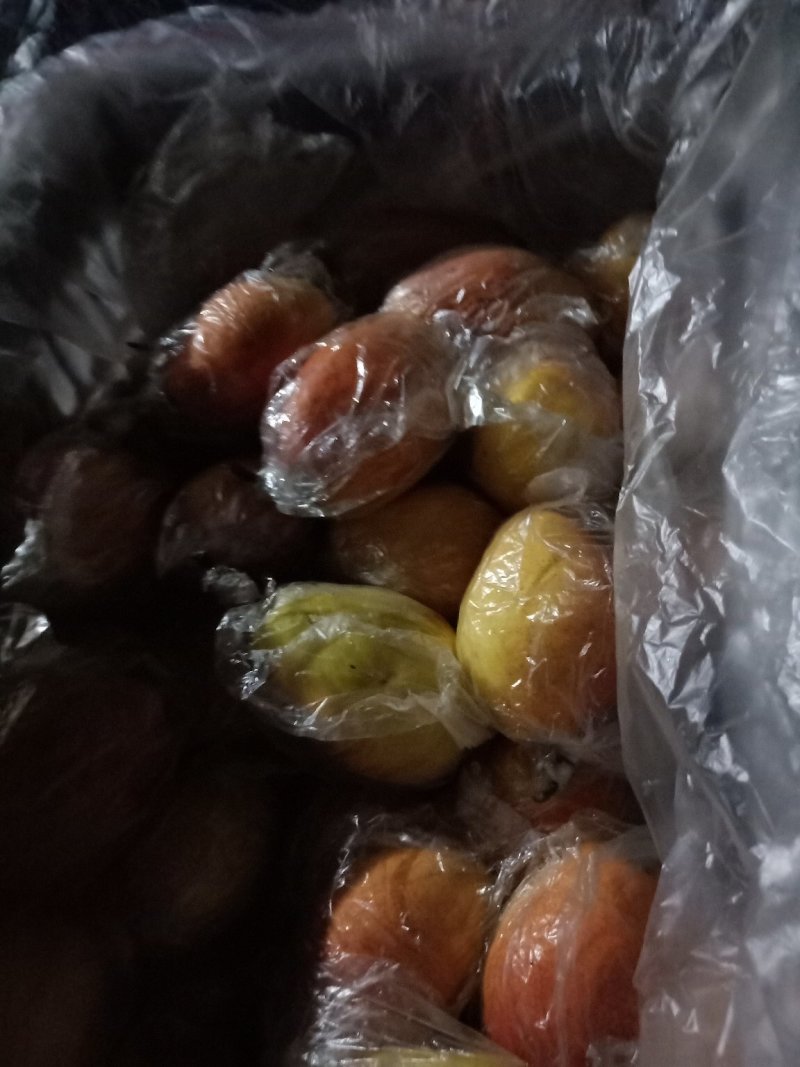 冷库红香酥梨价格便宜