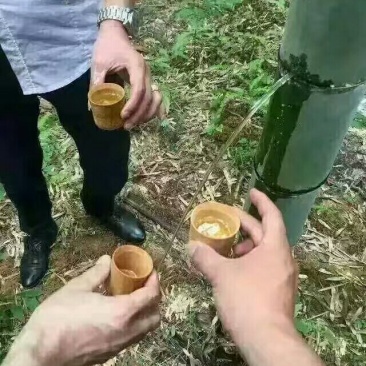 竹筒酒