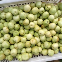 新鲜梨枣大量上市