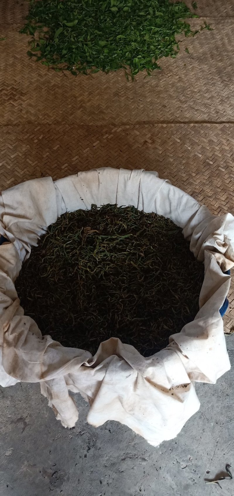 老挝古树红茶