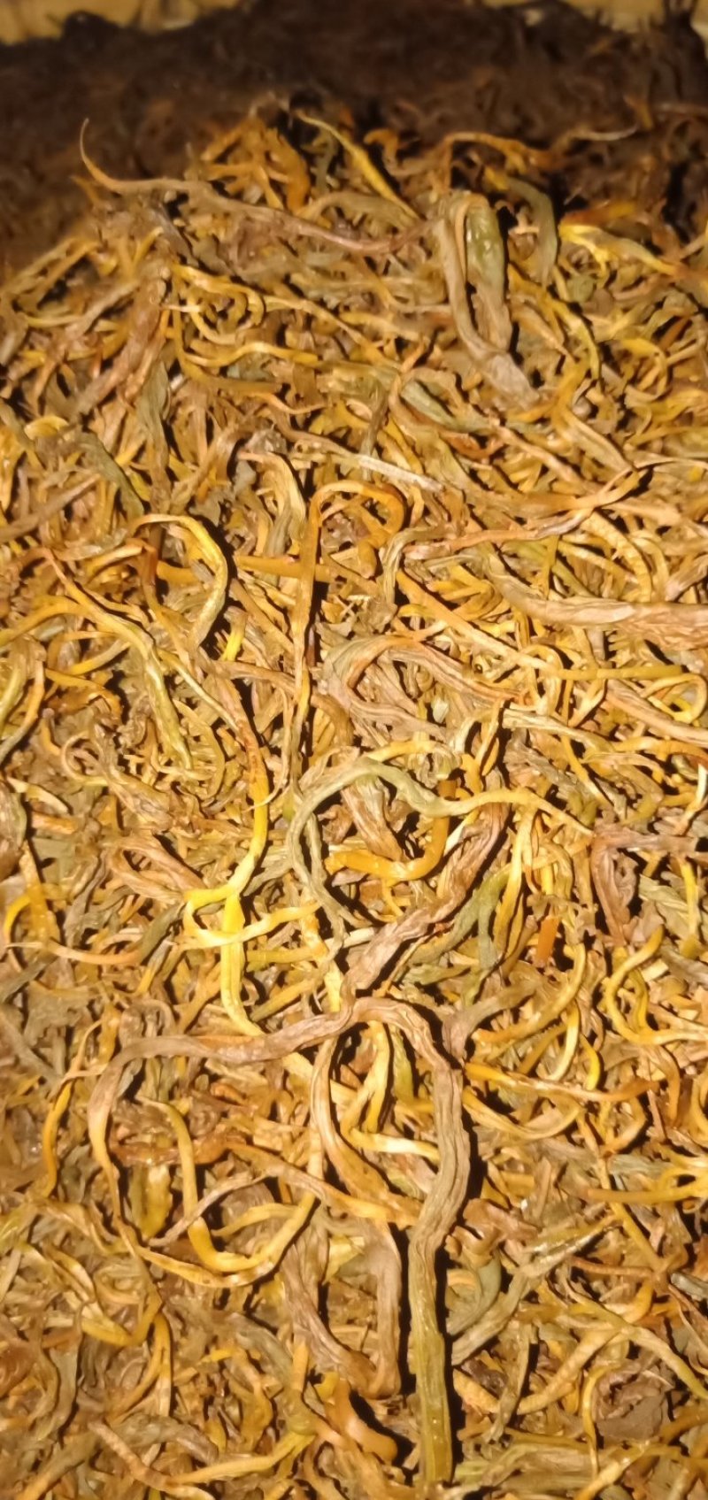 老挝古树红茶