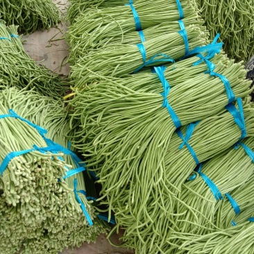 长豆角青白条豇扁豆，质量好价格低量大日上货量万吨