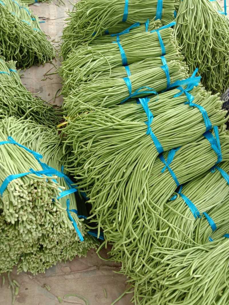 长豆角青白条豇扁豆，质量好价格低量大日上货量万吨