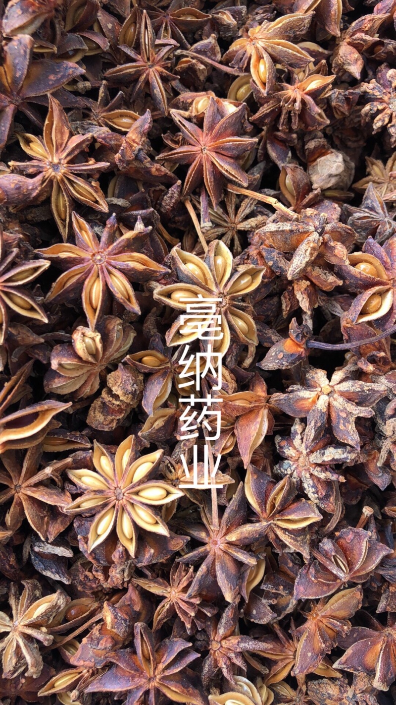 香料大全八角大料大茴香1000g新货无硫大红调味料