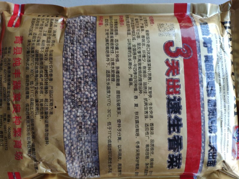 安瑟米3天出进口四季香菜芫荽种籽耐热耐抽苔原装500克