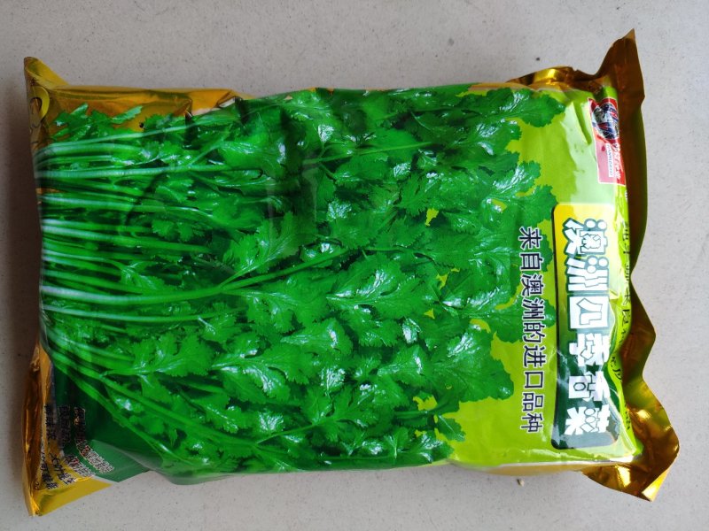 安瑟米3天出进口四季香菜芫荽种籽耐热耐抽苔原装500克