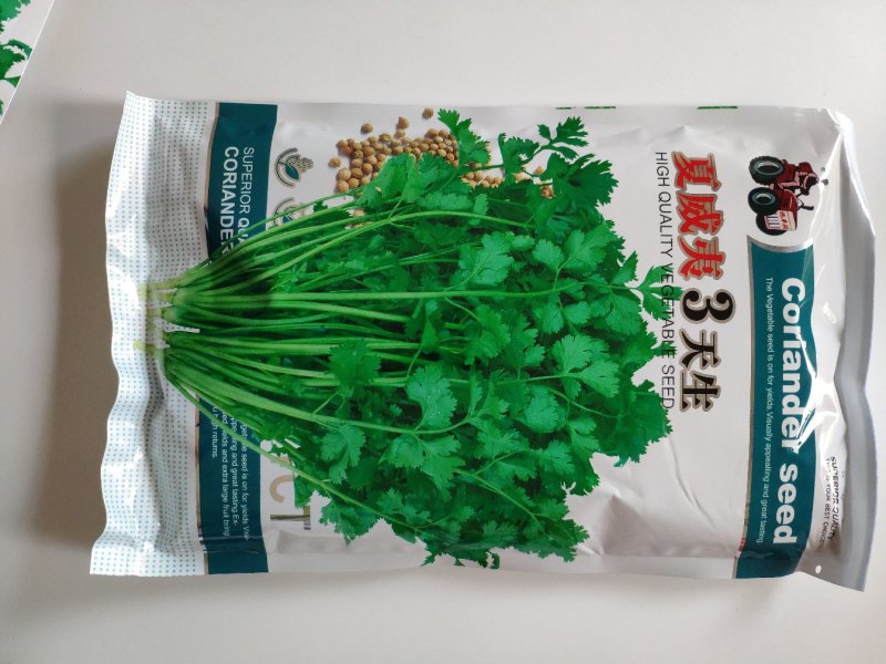 安瑟米3天出进口四季香菜芫荽种籽耐热耐抽苔原装500克