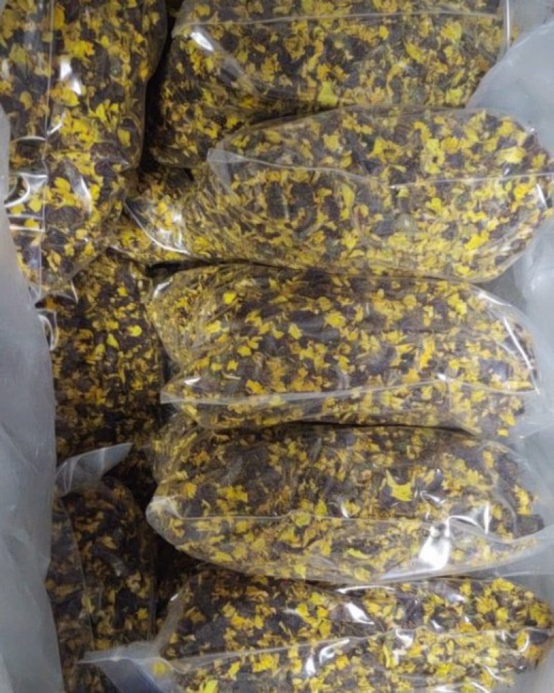 雪菊新货，昆仑山新疆胎菊血菊两色金鸡菊