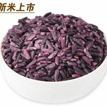 紫糯米血糯米（5斤1件包邮）