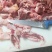 纯干牛肉筋，无水，无油，也称(筋头巴脑)，
