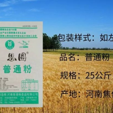 小麦普通粉