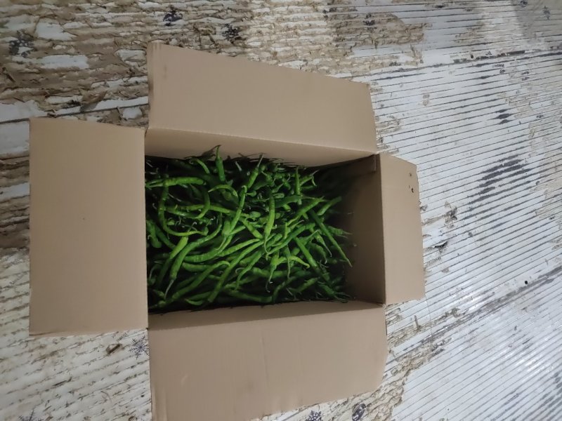 河南商丘优质精品，各种线椒，质量保证，代发全国