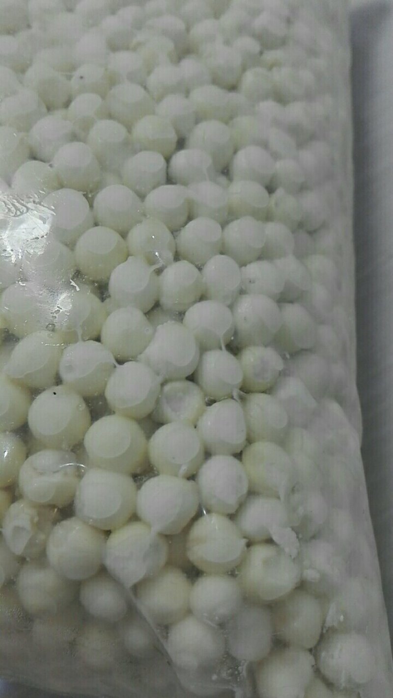 鸡头米（鲜），优质上等苏芡