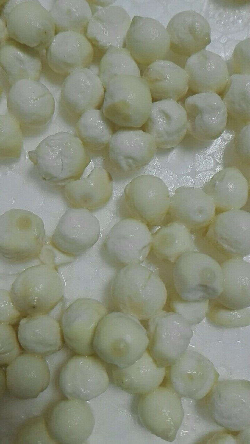 鸡头米（鲜），优质上等苏芡