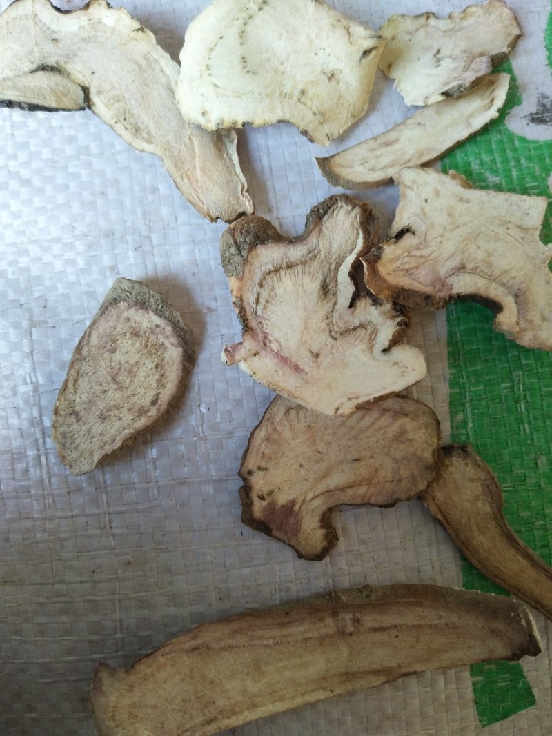 川赤芍