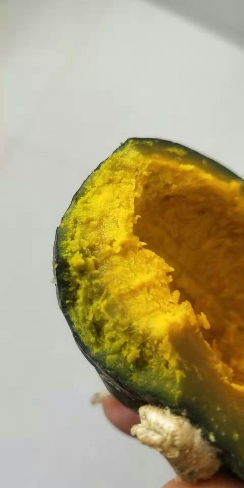 内蒙古大地贝贝南瓜量大需要联系我就好，随时欢迎
