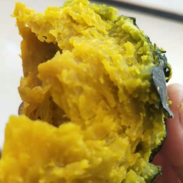 内蒙古大地贝贝南瓜量大需要联系我就好，随时欢迎