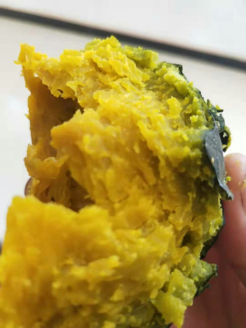内蒙古大地贝贝南瓜量大需要联系我就好，随时欢迎