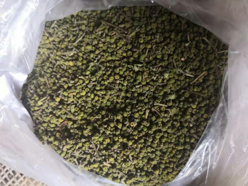 吴茱萸