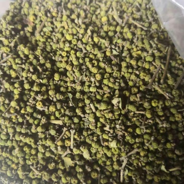吴茱萸