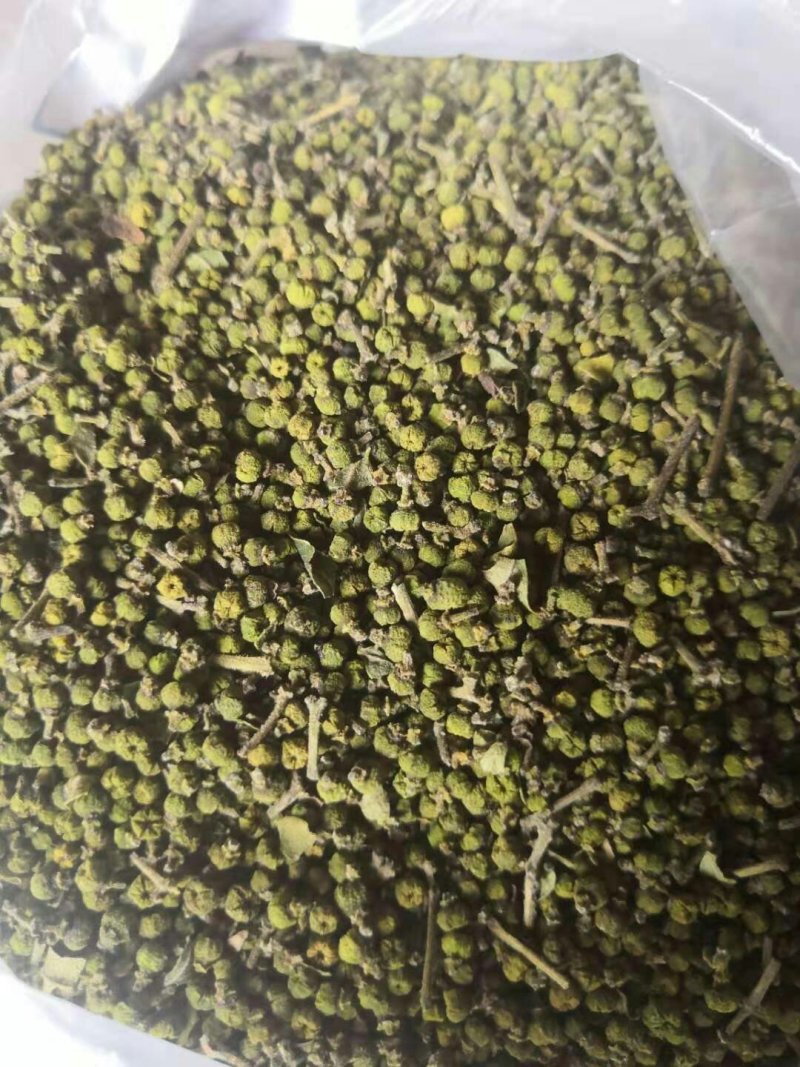 吴茱萸