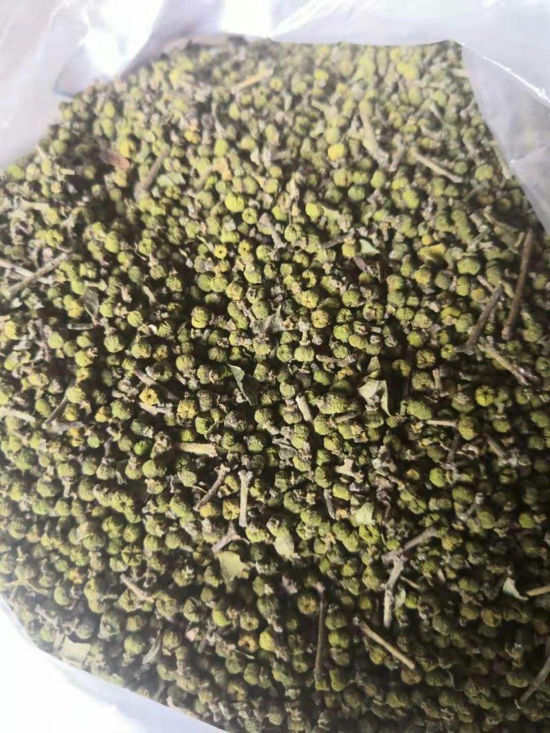 吴茱萸