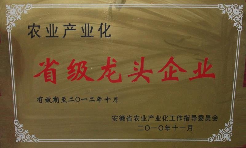 烟薯25
