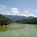 【热卖】灵芝纯野生灵芝统货紫灵芝山中采摘灵芝包邮