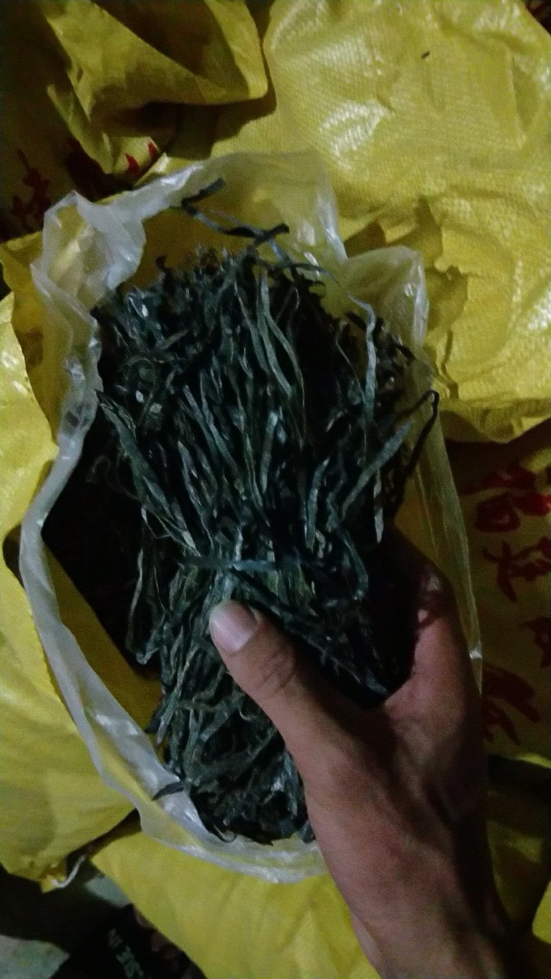 福建霞浦无沙纯青海带长丝大促销