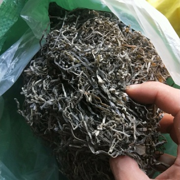 福建霞浦精品海带丝