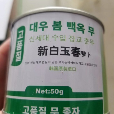 白萝卜种子韩国原装进口新白玉春白萝卜种子