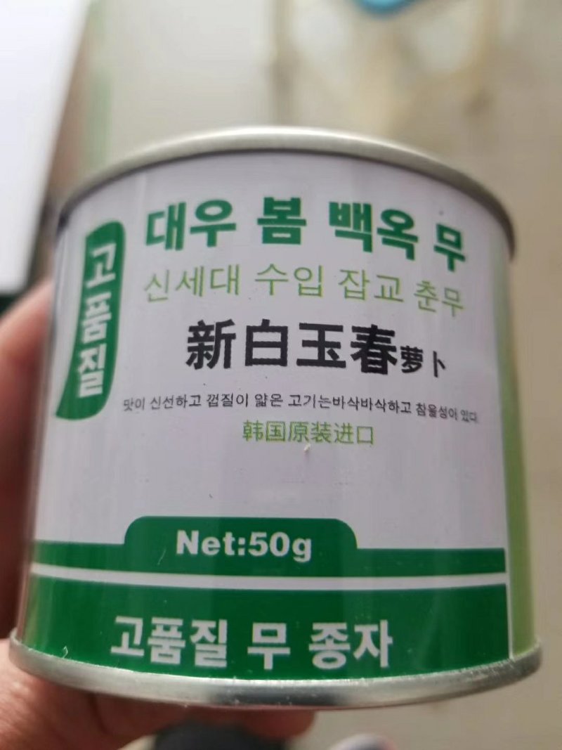 白萝卜种子韩国原装进口新白玉春白萝卜种子