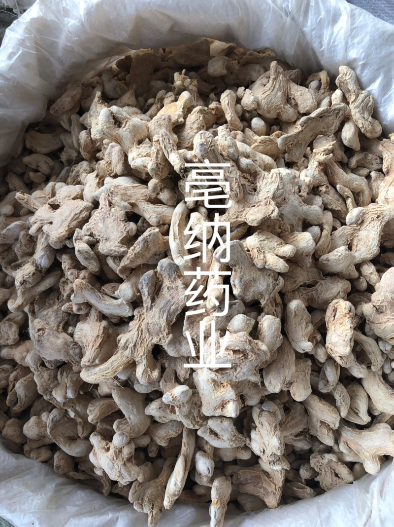 香料干姜个1公斤起批干姜块干姜片