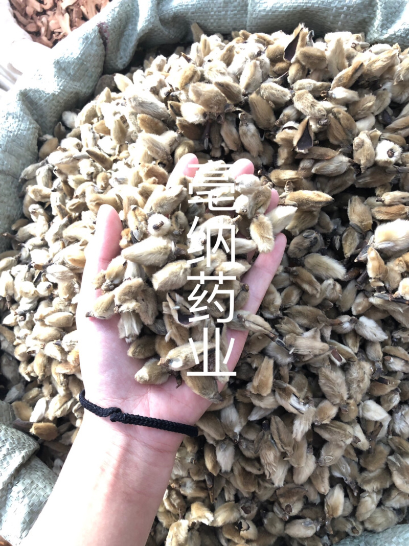 香料大全辛夷花批发1公斤起批