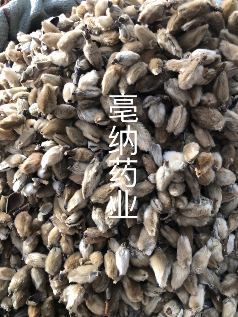 香料大全辛夷花批发1公斤起批