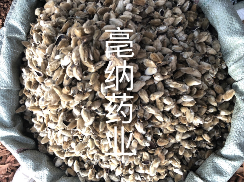 香料大全辛夷花批发1公斤起批