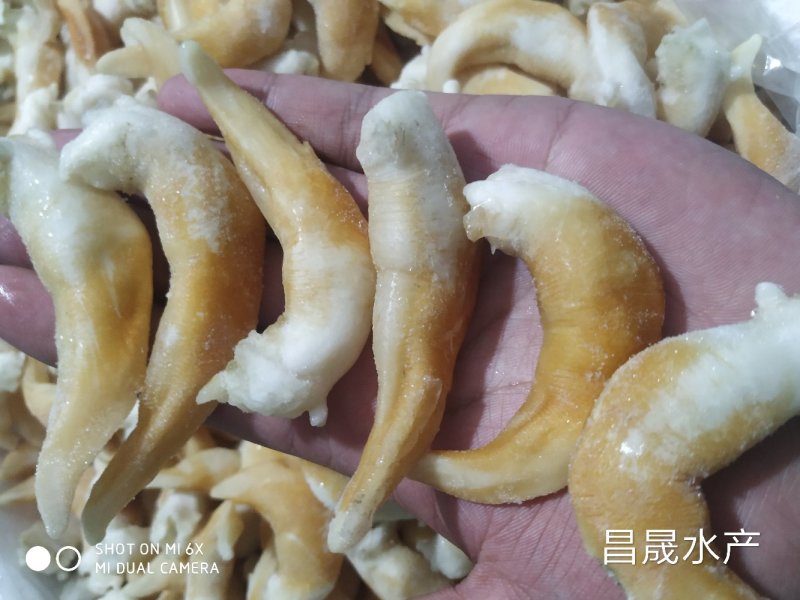 鸟贝肉