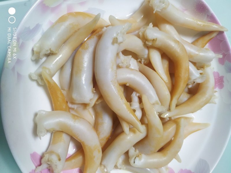 鸟贝肉