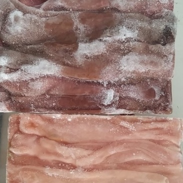 海肠皮