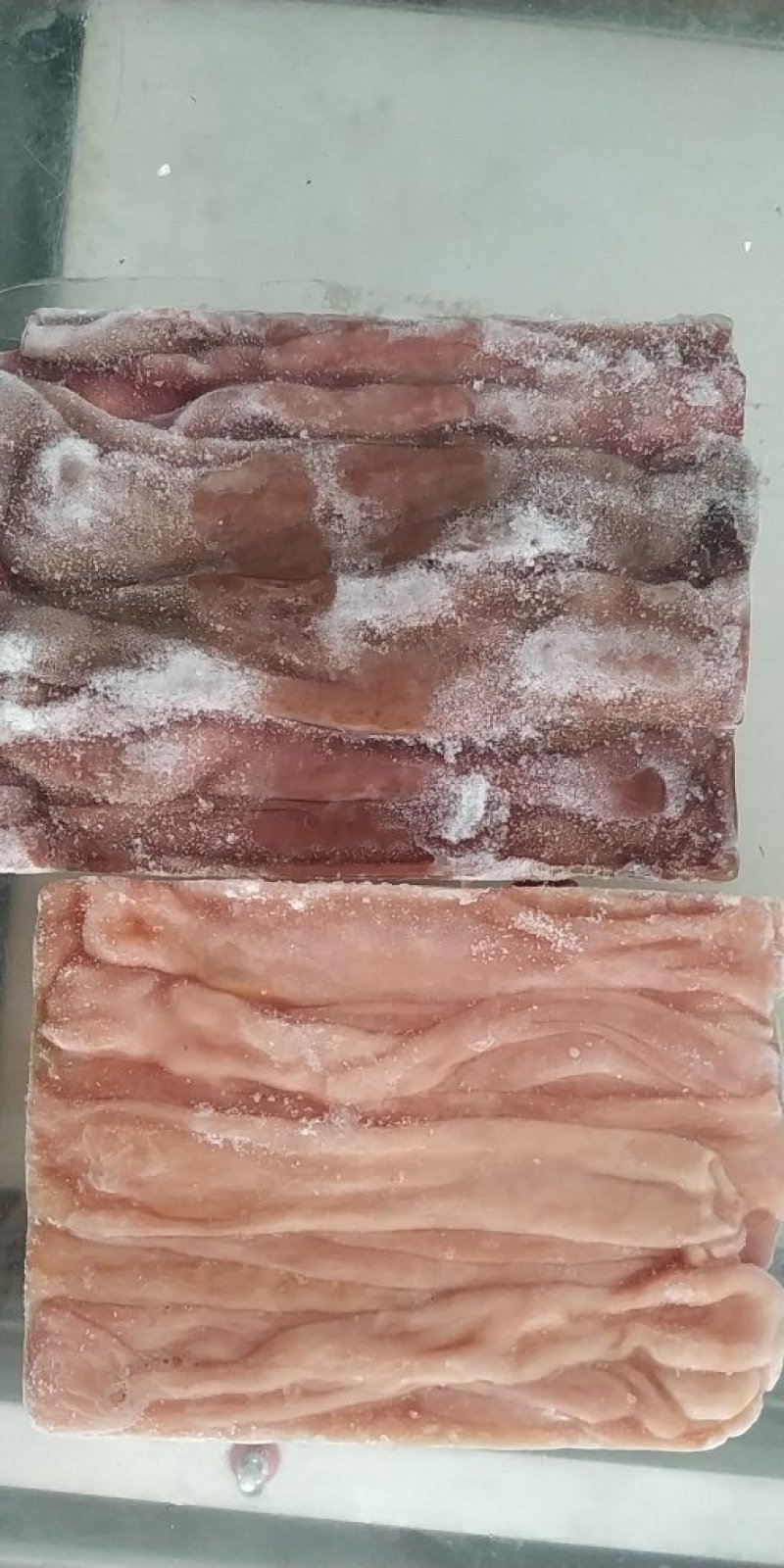海肠皮