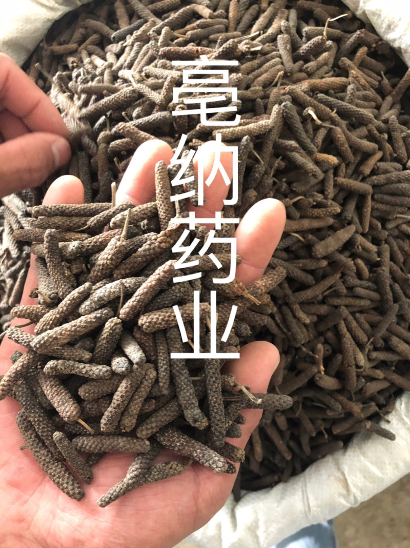 香料大全荜茇毕波1公斤起批优质大荜波小荜波调味料批发